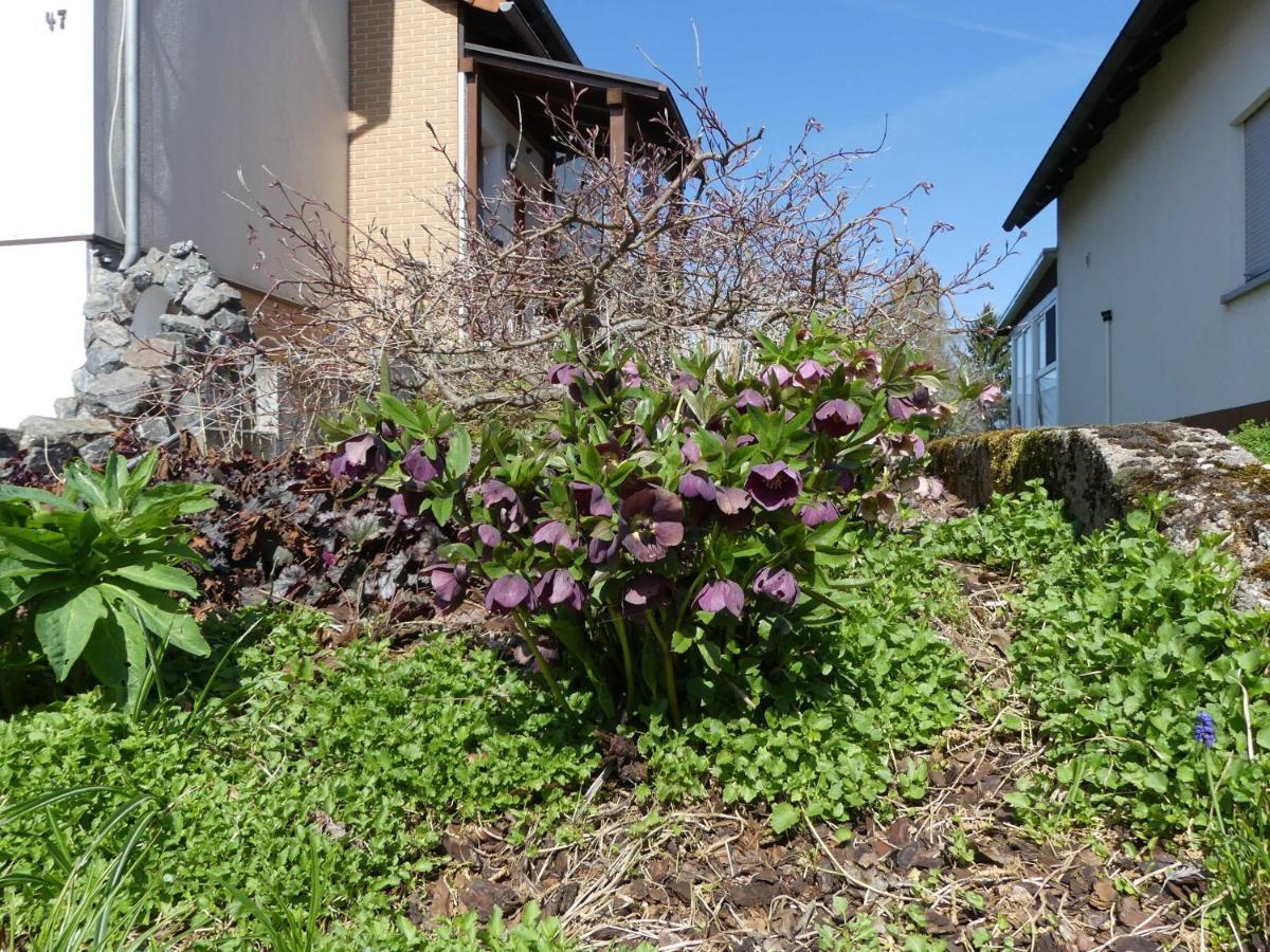 Ferienwohnung Schanbacher Oberzent Eksteriør bilde